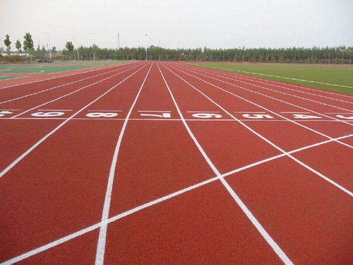 黑龍江橡膠跑道銷(xiāo)售價(jià)格