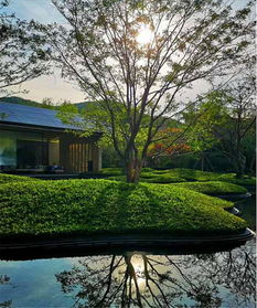 初見園林 佛山園林綠化設計施工 小學 市政 園林綠化養護