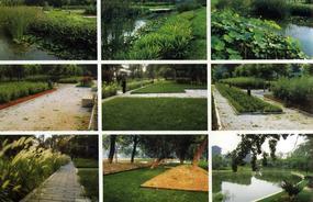 各種綠化、景觀鋪裝工程的設計與施工,園林綠化工程的養(yǎng)護;園林綠化苗木、草皮、花卉的種植,銷售(廣西南寧)_CO土木在線