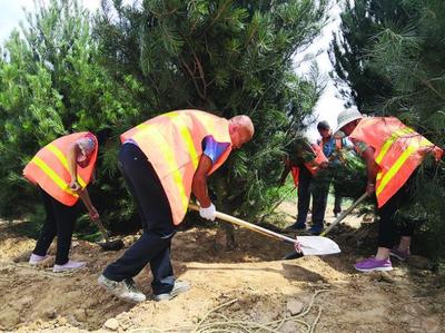 全面開展呂梁市區(qū)增綠工程