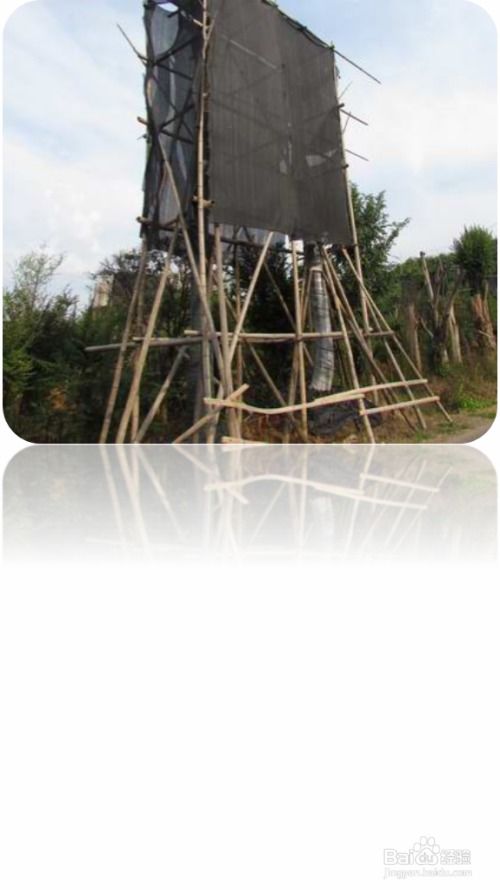 園林綠化施工中喬灌木種植注意事項