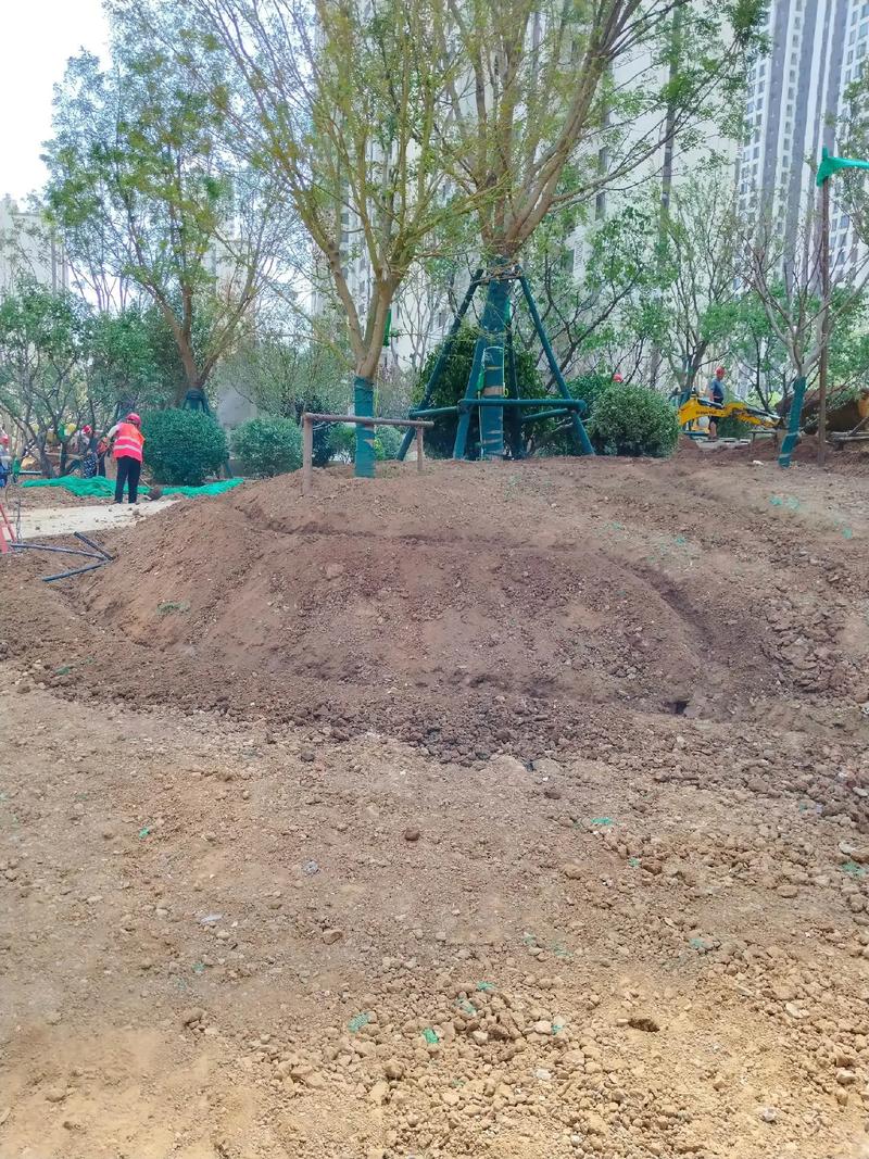 地形整理,苗木種植!#園林綠化工程 #施工現(xiàn)場(chǎng)實(shí)拍